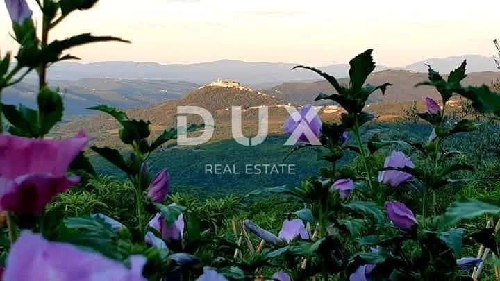 ISTRA, VIŽINADA - Prostrano građevinsko zemljište panoramskog pogleda