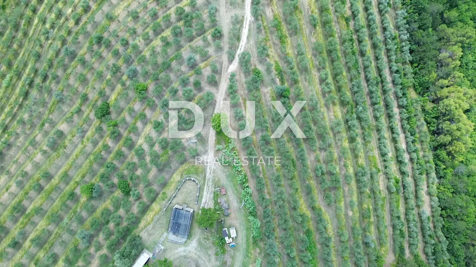 istra, motovun, imanje, 170.416 m2 - slika 9