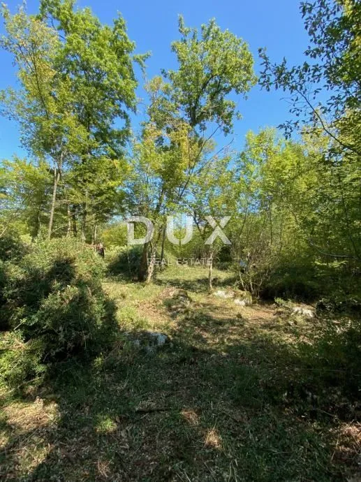 istra, žbandaj - poljoprivredno zemljište - slika 3