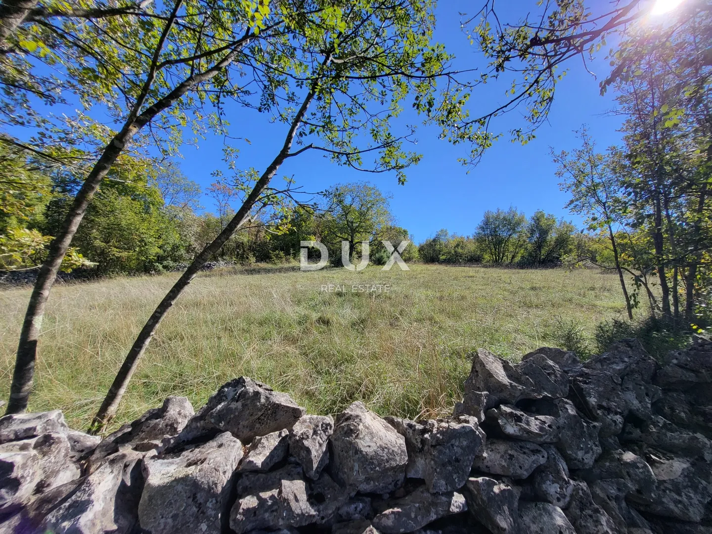 lupoglav, boljunsko polje, kamene kuće, 166 m2 - slika 13