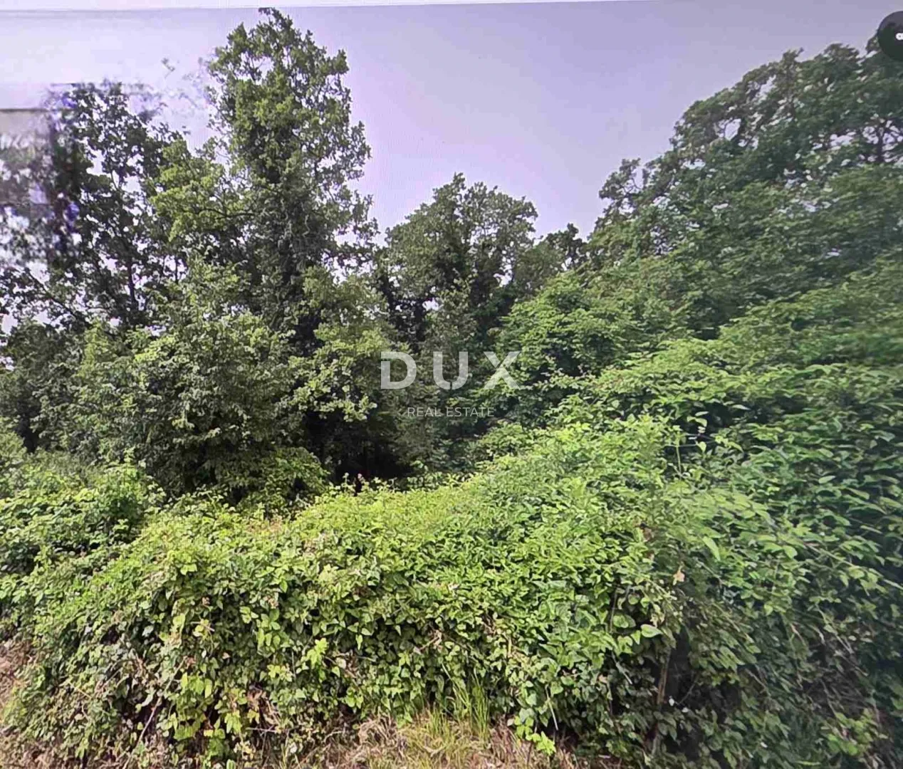 opatija, bregi - mir, priroda i pogled na more, 1200m2 - slika 2