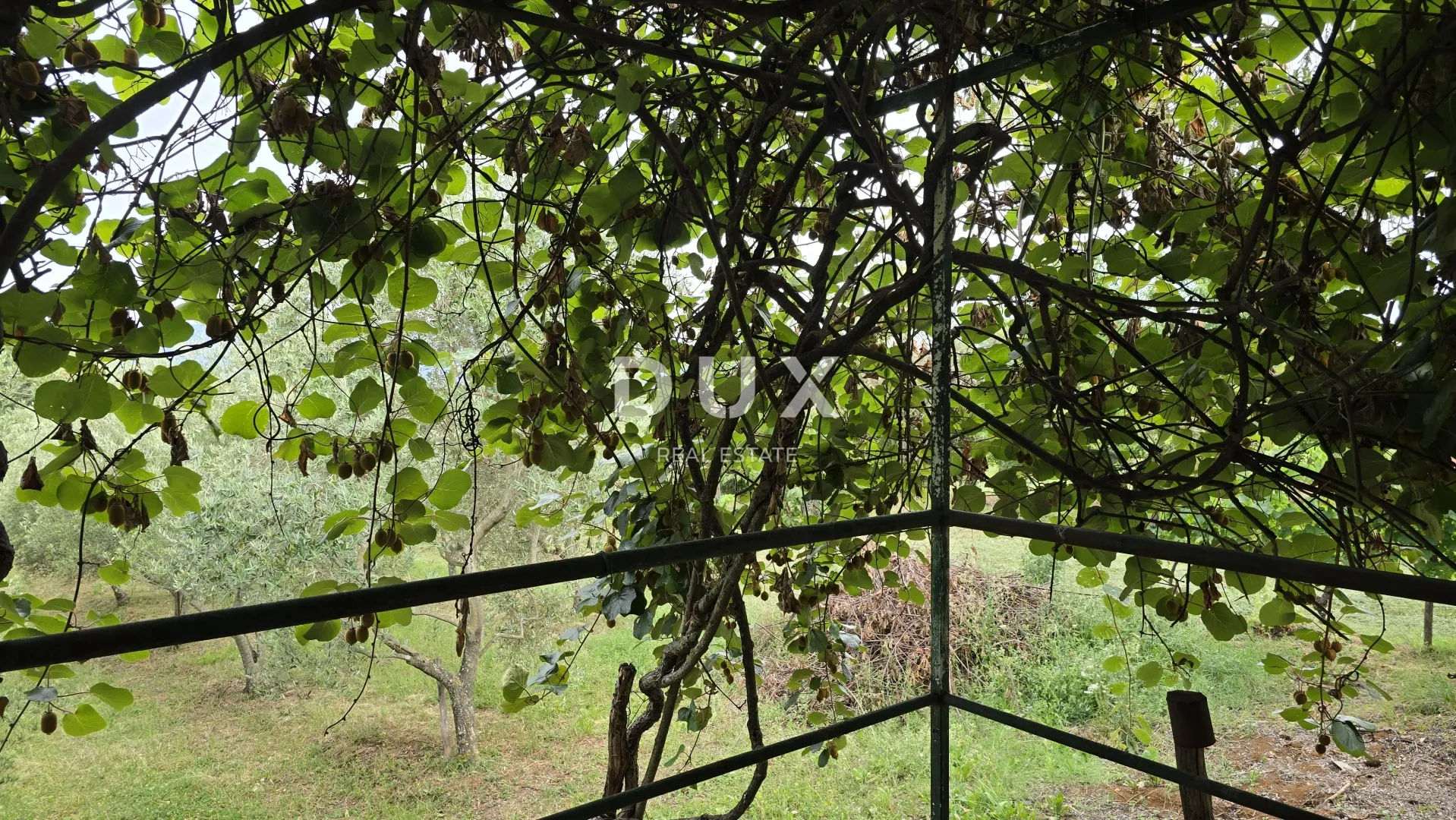 istra, labin – kućica u prirodi, potpuna osama s velikom okućnicom - slika 15