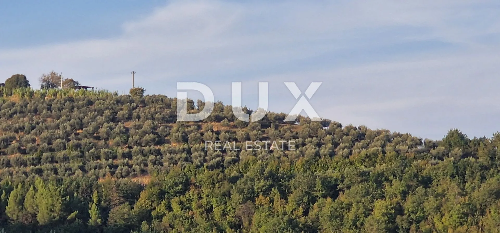 istra, motovun, imanje, 170.416 m2 - slika 88