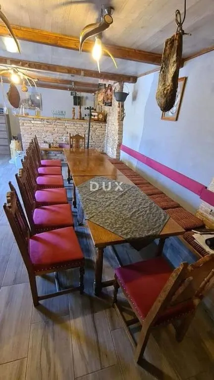 čavle - villa s 3 stana, grijanim bazenom, konobom i garažom - uhodani posao! - slika 62