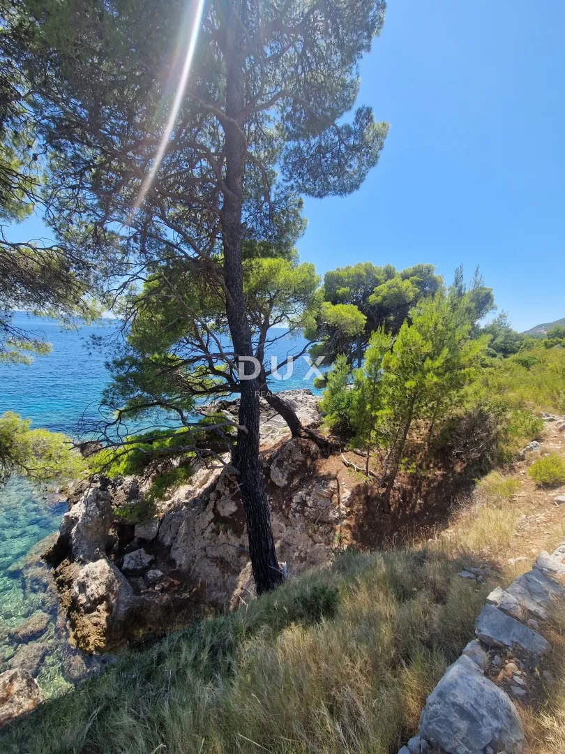pelješac, popova luka, poljoprivredno zemljište 190.000m² - slika 4