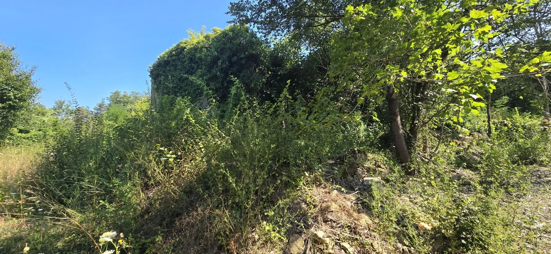 istra, kršan - imanje za adaptaciju na osami - slika 22