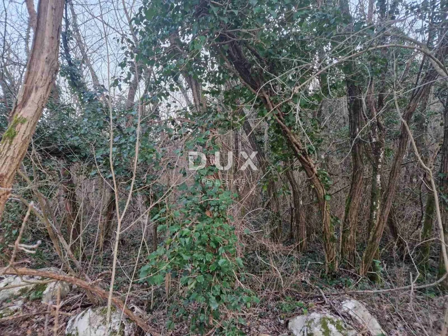 istra, labin - hrastova šuma za siječu, 9.675m2 prilika - slika 9