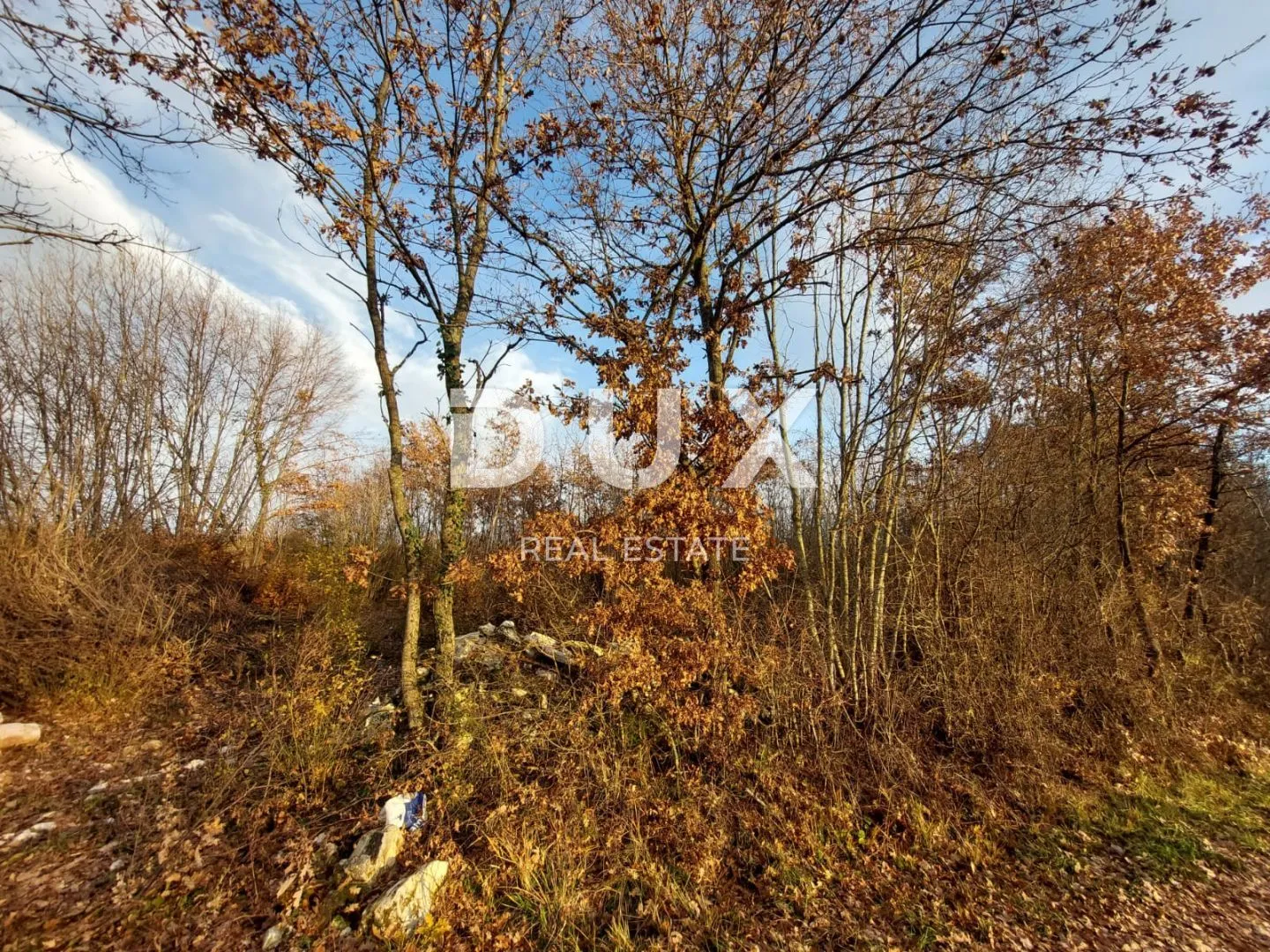istra, kanfanar - građevinsko zemljište od 3133 m2 - slika 5