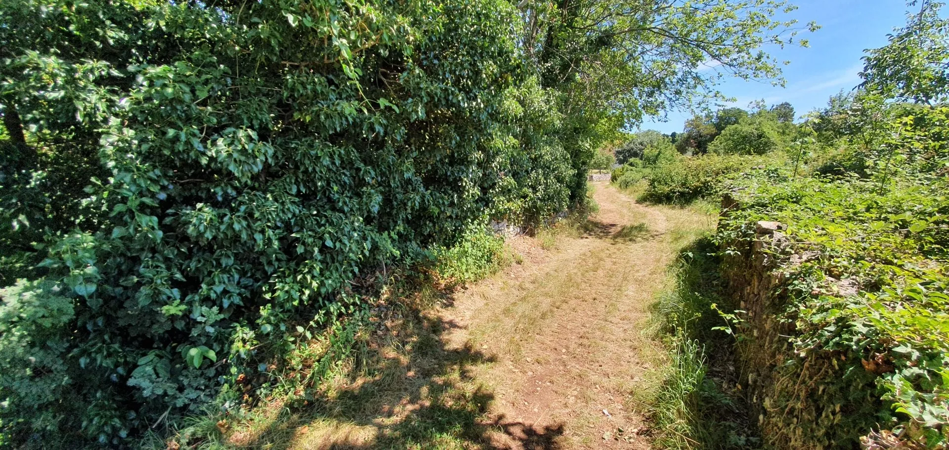 istra, labin, nedešćina - građevinsko zemljište na mirnoj lokaciji samo 500 m od centra grada - slika 4