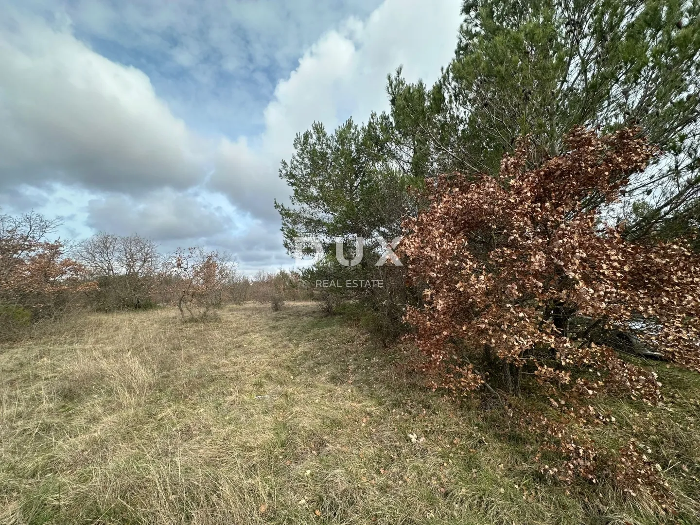 ISTRA, ŠTOKOVCI - Poljoprivredno zemljište 4500m² - Štokovci, Svetvinčenat