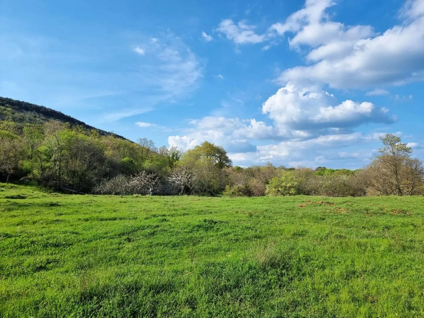 istra, rabac - prostrano imanje na očaravajućoj lokaciji - slika 30