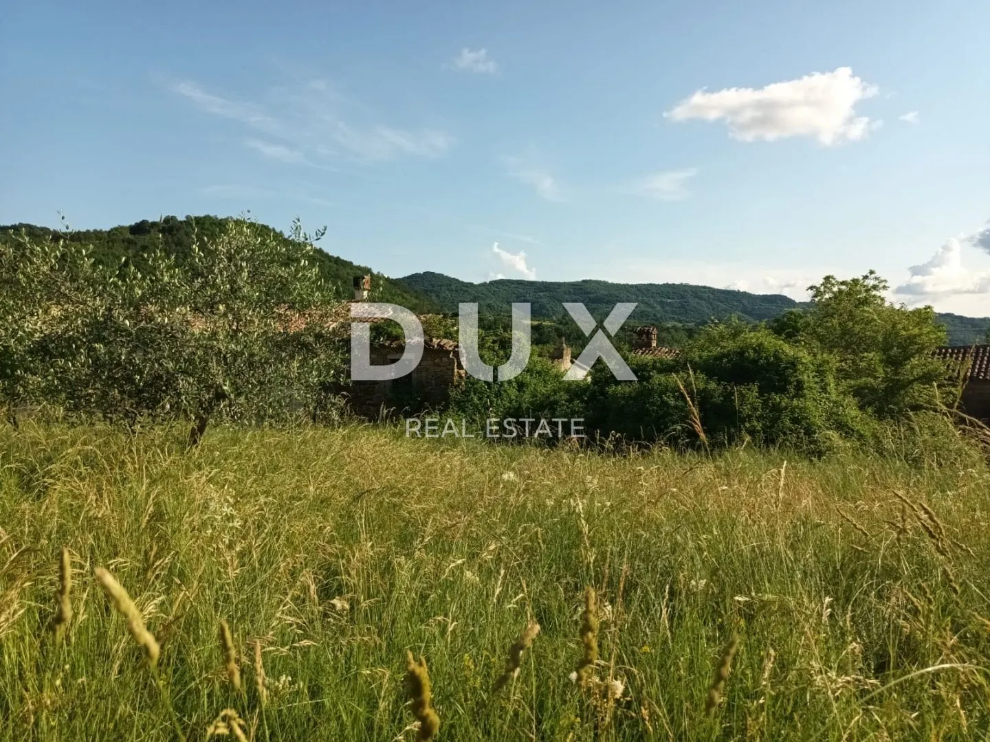 istra, buzet - kamena ruševna kuća u srcu prirode - slika 4