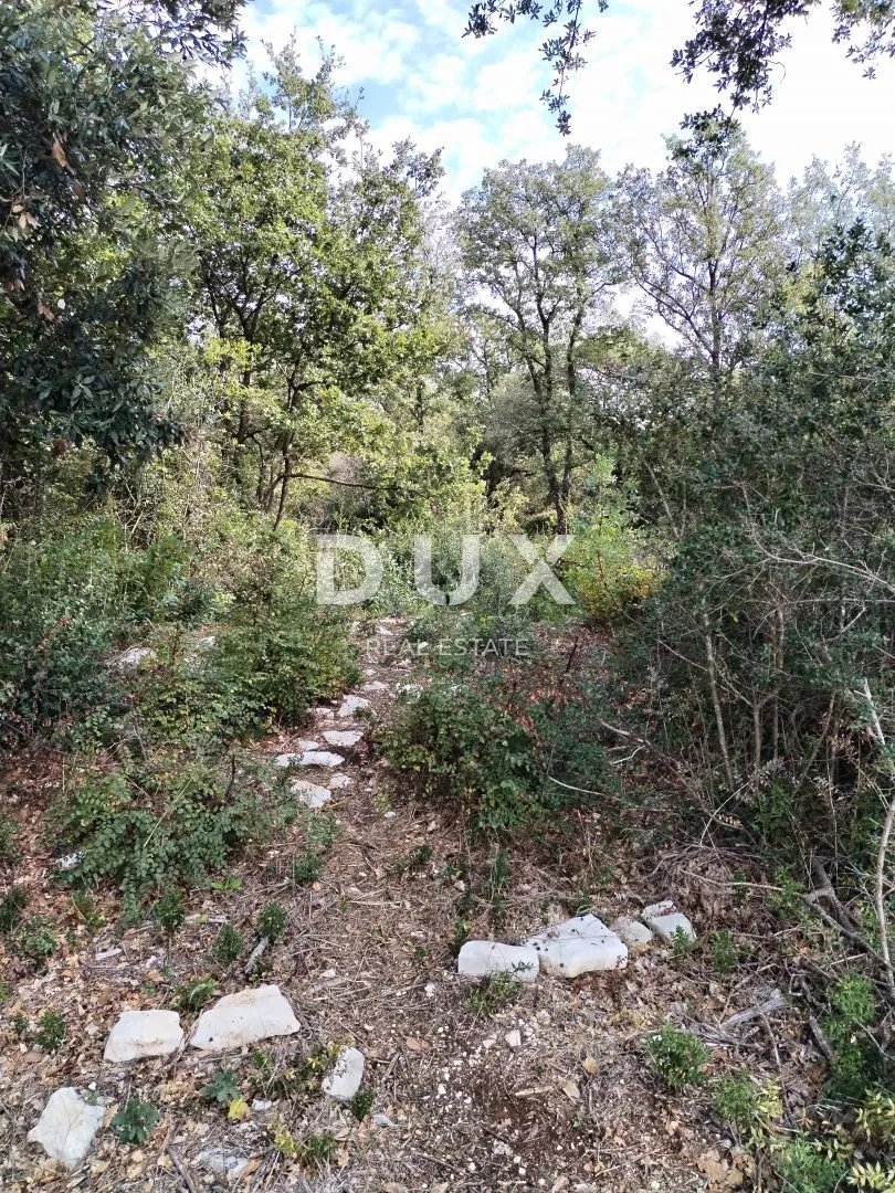 istra, peroj - poljoprivredno zemljište 3346 m2 blizu mora! - slika 5