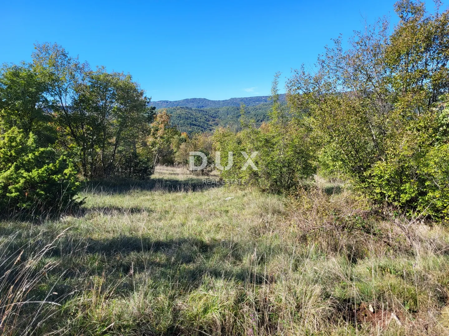 lupoglav, boljunsko polje, kamene kuće, 166 m2 - slika 11