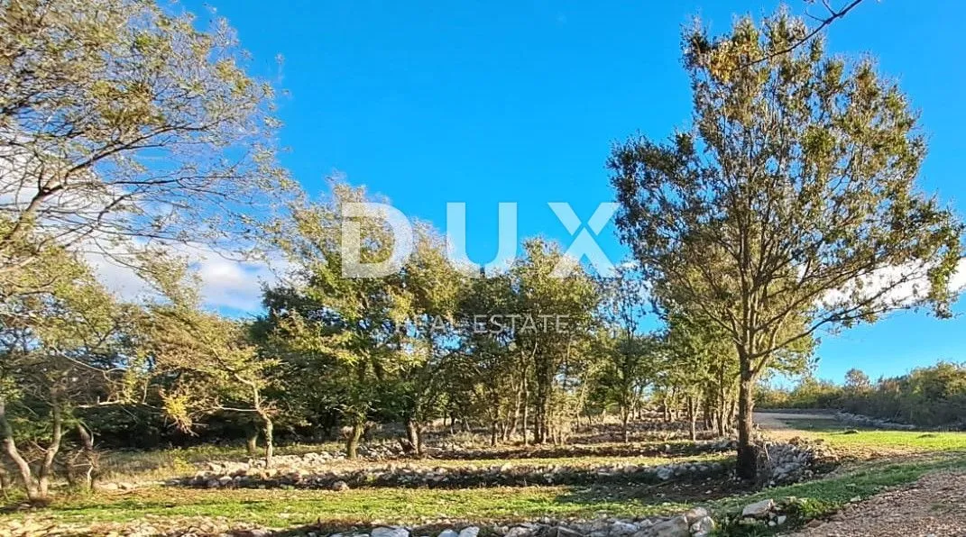 Otok Krk, Šilo - Očišćeno, ravno poljoprivredno zemljište, buduće građevinsko, 600m do prekrasnih plaža, mora i supermarketa s pristupnim putem ! - Šilo, Dobrinj
