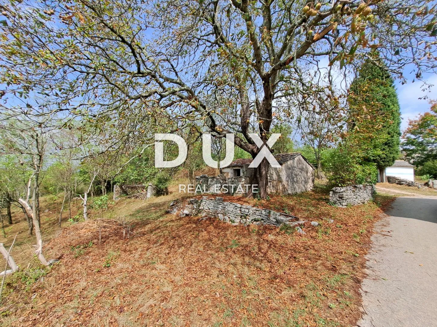 istra, grožnjan, okolica, zemljište od 60.000 m², objekt od 21 m² - slika 2