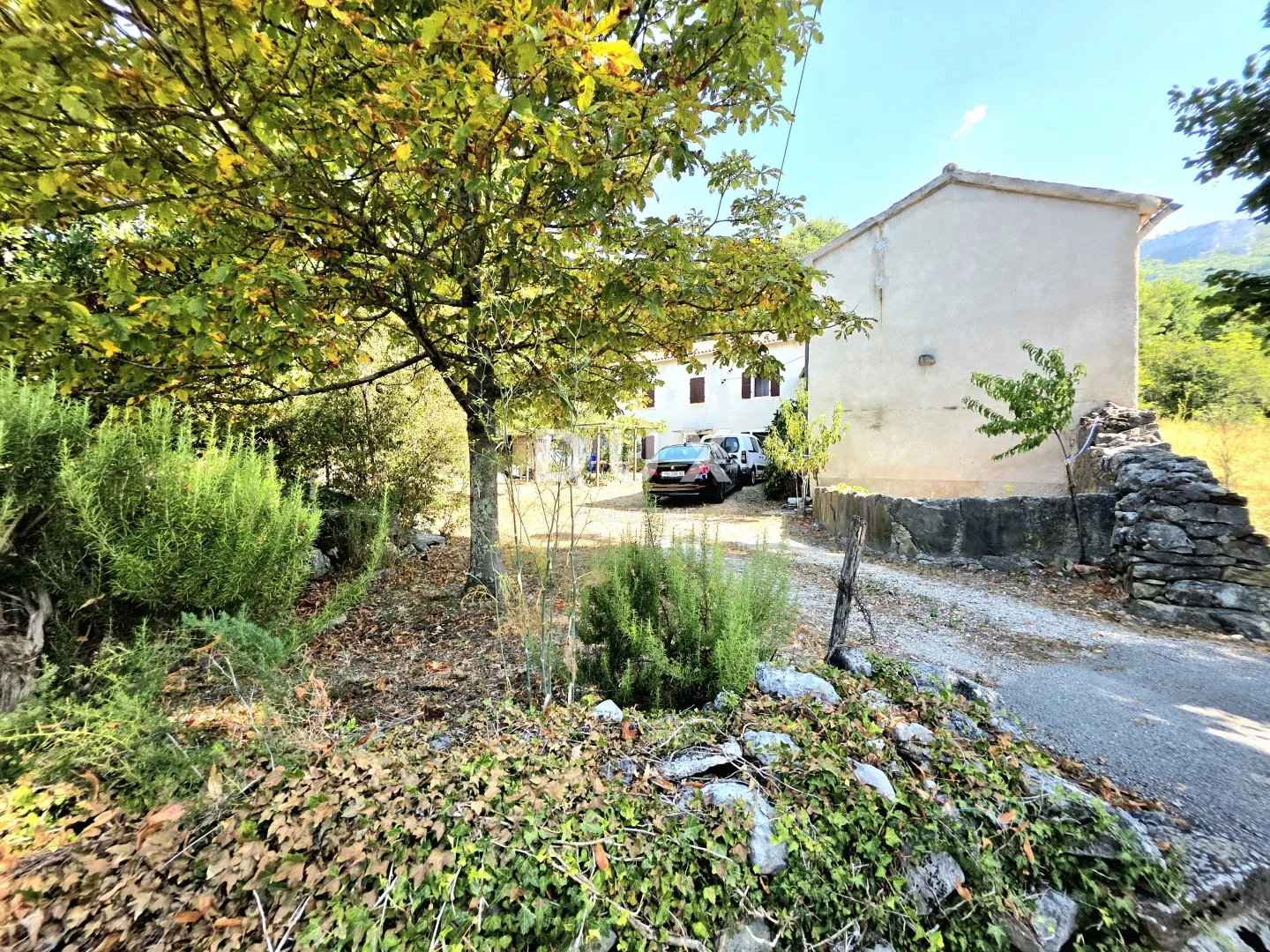 istra, buzet, kuća, 160 m2, stancija s 26724 m2 zemljišta - slika 26