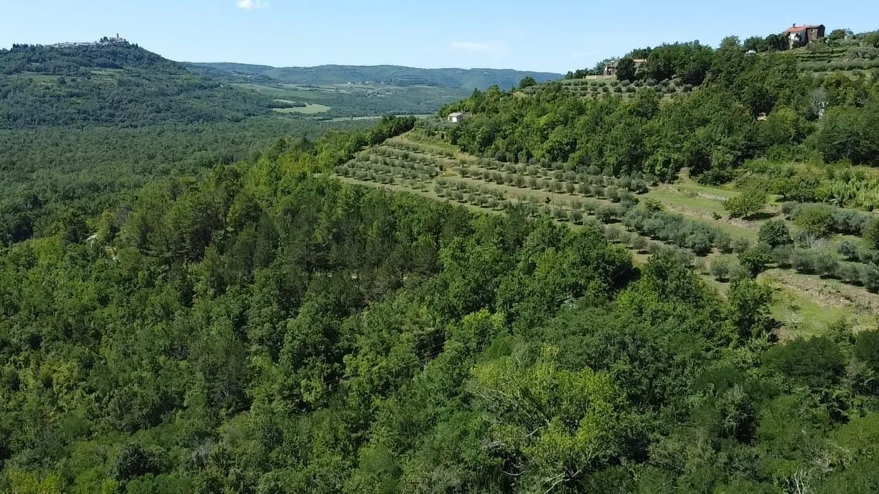 istra, motovun - kamena bajka u prirodi! rijetkost! - slika 12