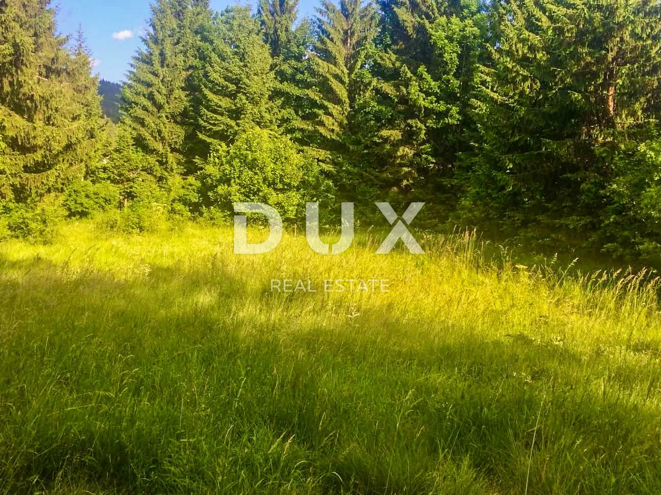 GORSKI KOTAR, DELNICE - građevinsko zemljište 2550 m2 - Lučice, Delnice
