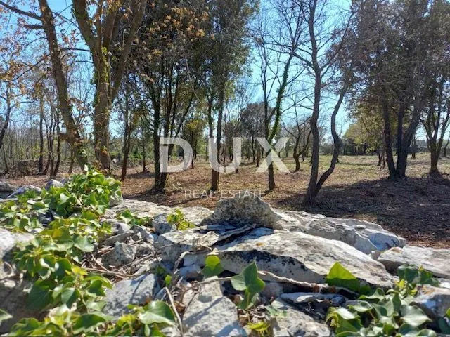 ISTRA, RAKALJ - Građevinsko zemljište sa velikim potencijalom - Rakalj, Marčana