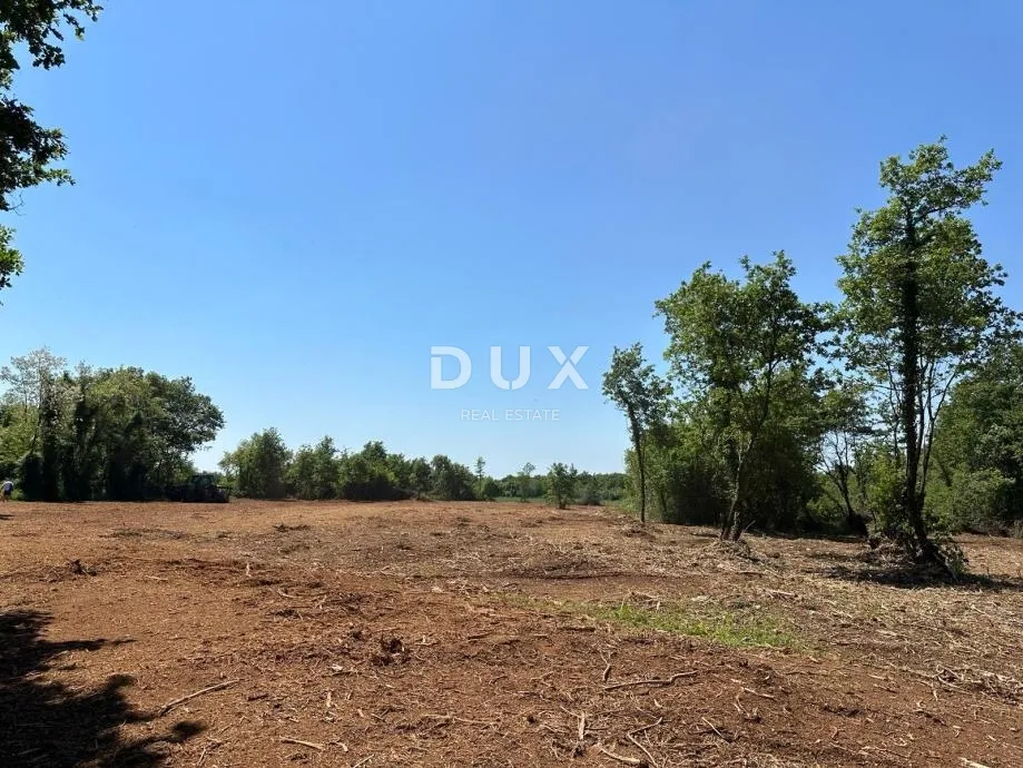 pula, muntić, poljoprivredno zemljište, 10.096 m² - slika 2
