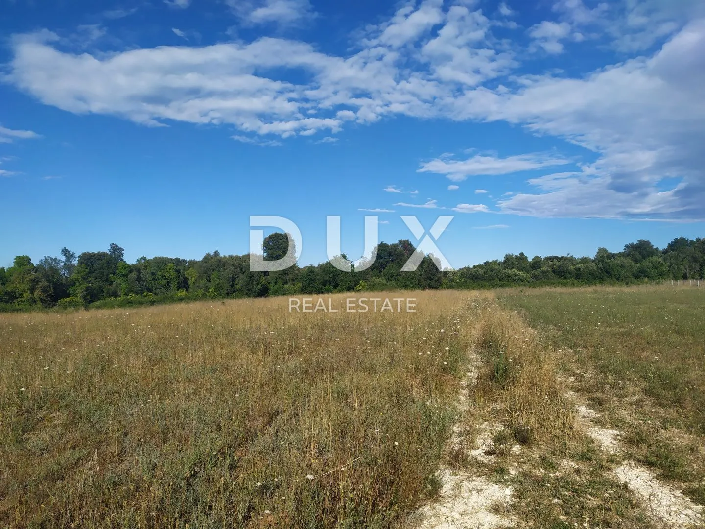 istra - šišan, poljoprivredno zemljište 800m2 - slika 5
