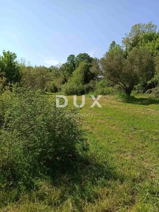 ISTRA, MARČANA - Građevinsko zemljište 1195m2 na mirnoj lokaciji - Pavićini, Marčana