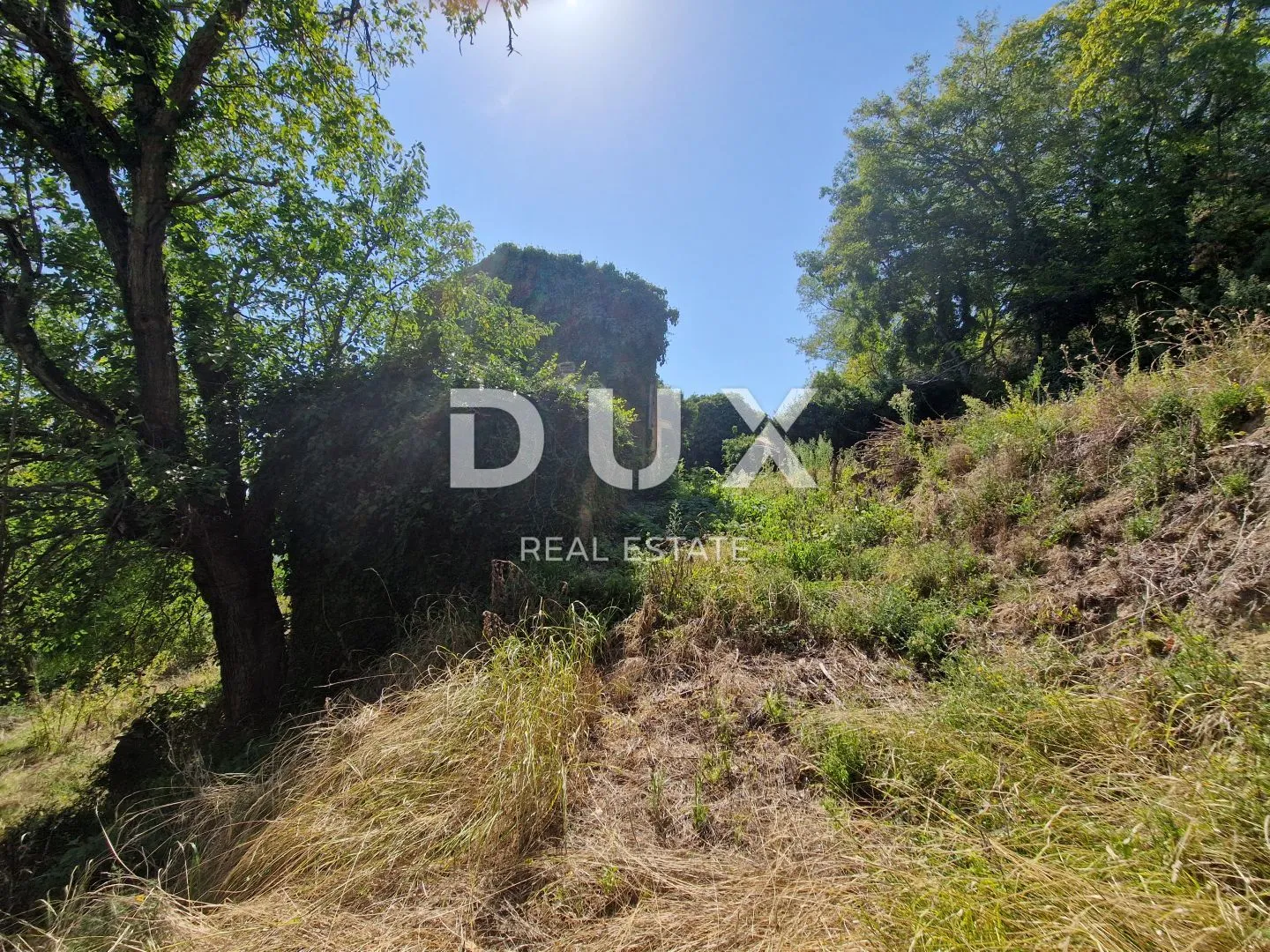 istra, oprtalj - kamena starina s panoramskim pogledom na zelenilo - slika 23