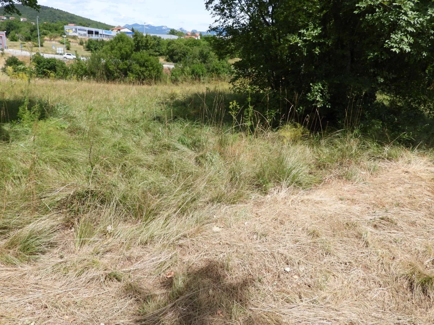 kukuljanovo industrijska zona - građevinski teren 4570m2 za halu / poslovnu zgradu - slika 5