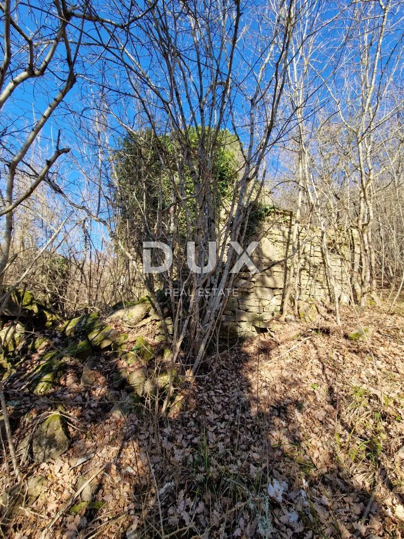istra, pazin - imanje za obnovu - slika 23
