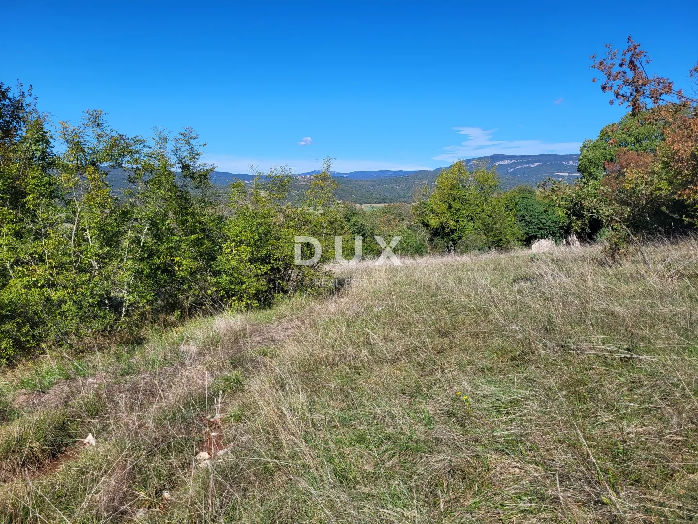 lupoglav, boljunsko polje, kamene kuće, 166 m2 - slika 12