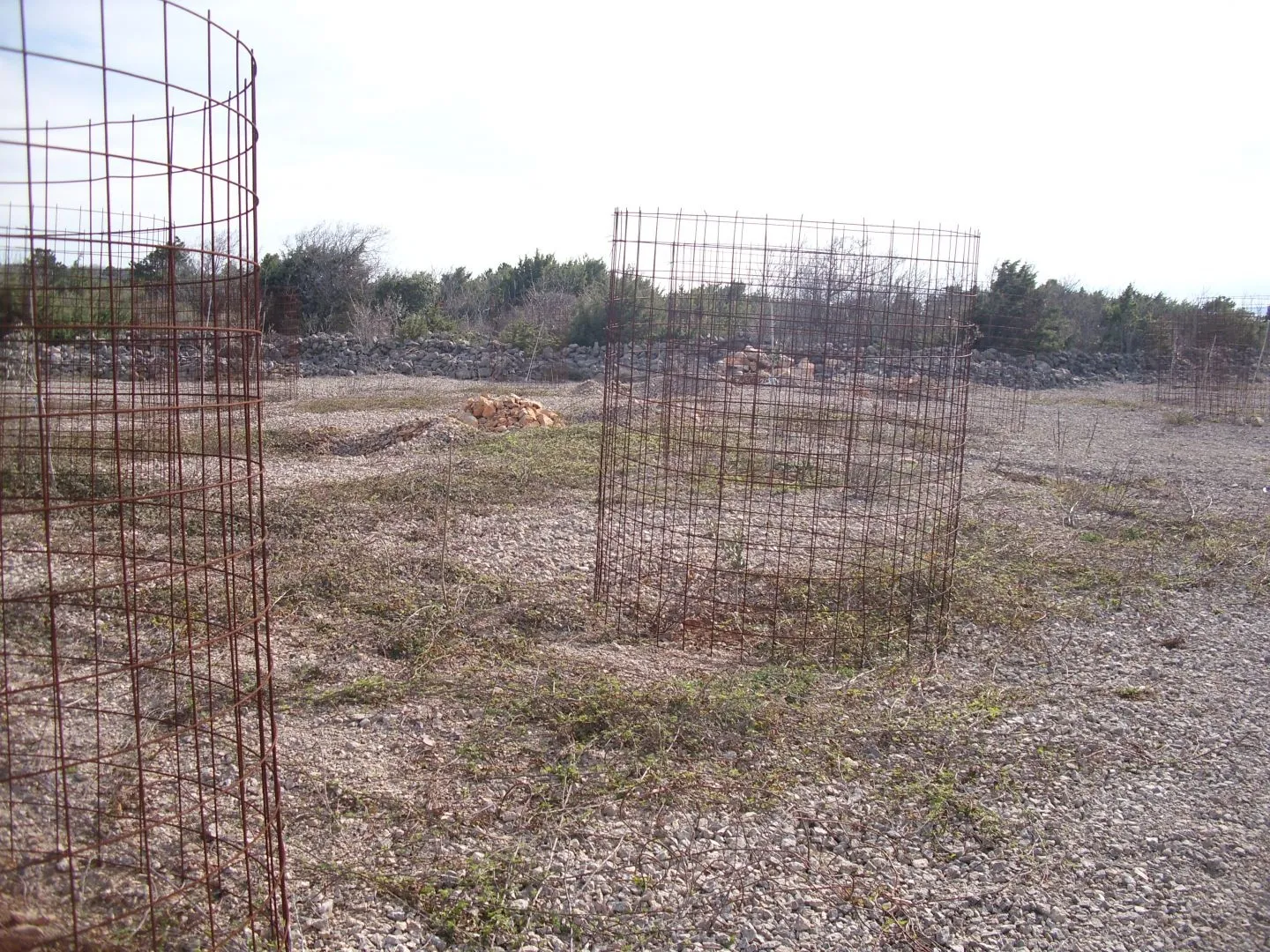 otok krk, punat - maslinik na 3620 m2 - slika 6