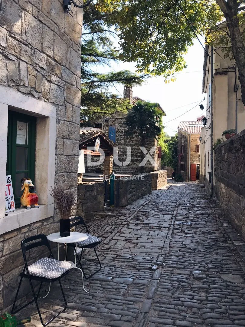 istra, oprtalj - autohtona kamena ljepotica s 3 apartmana - slika 52