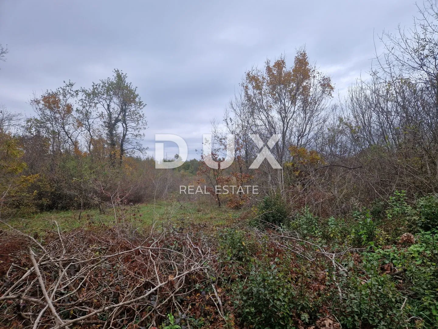 istra, barban - poljoprivredno zemljište - slika 2