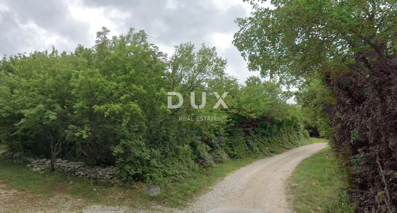 ISTRA, LABIN - Poljoprivredno zemljište 4.233 m² u blizini Labina – ravna parcela s pristupnim putem