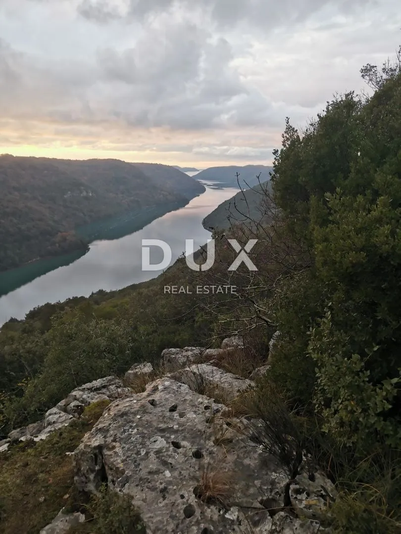 ISTRA,SVETI LOVREČ - Poljoprivredno zemljište s pogledom na more - Sveti Lovreč Pazenatički