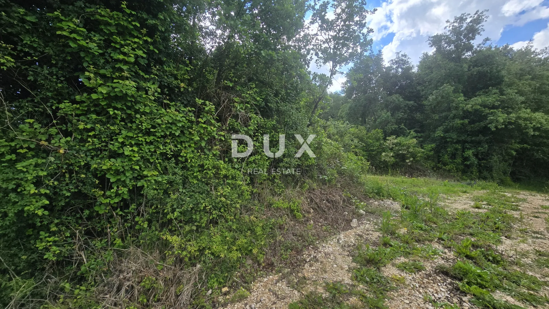 istra, pićan - građevinsko zemljište 847 m² - slika 10