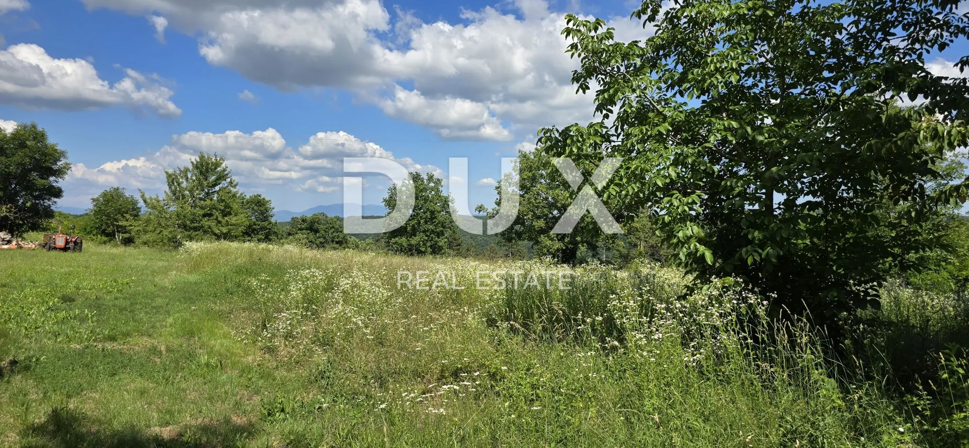 istra, tinjan - građevinsko zemljište površine 1187 m2 - slika 2