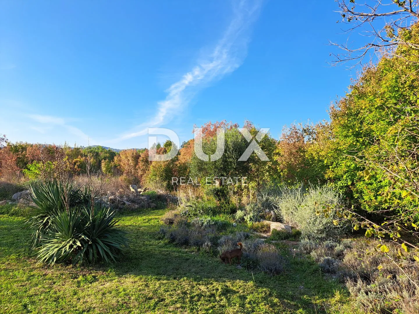 istra, lupoglav, kuća, 646 m2, 8 kuća na imanju 22.000 m2 - slika 26