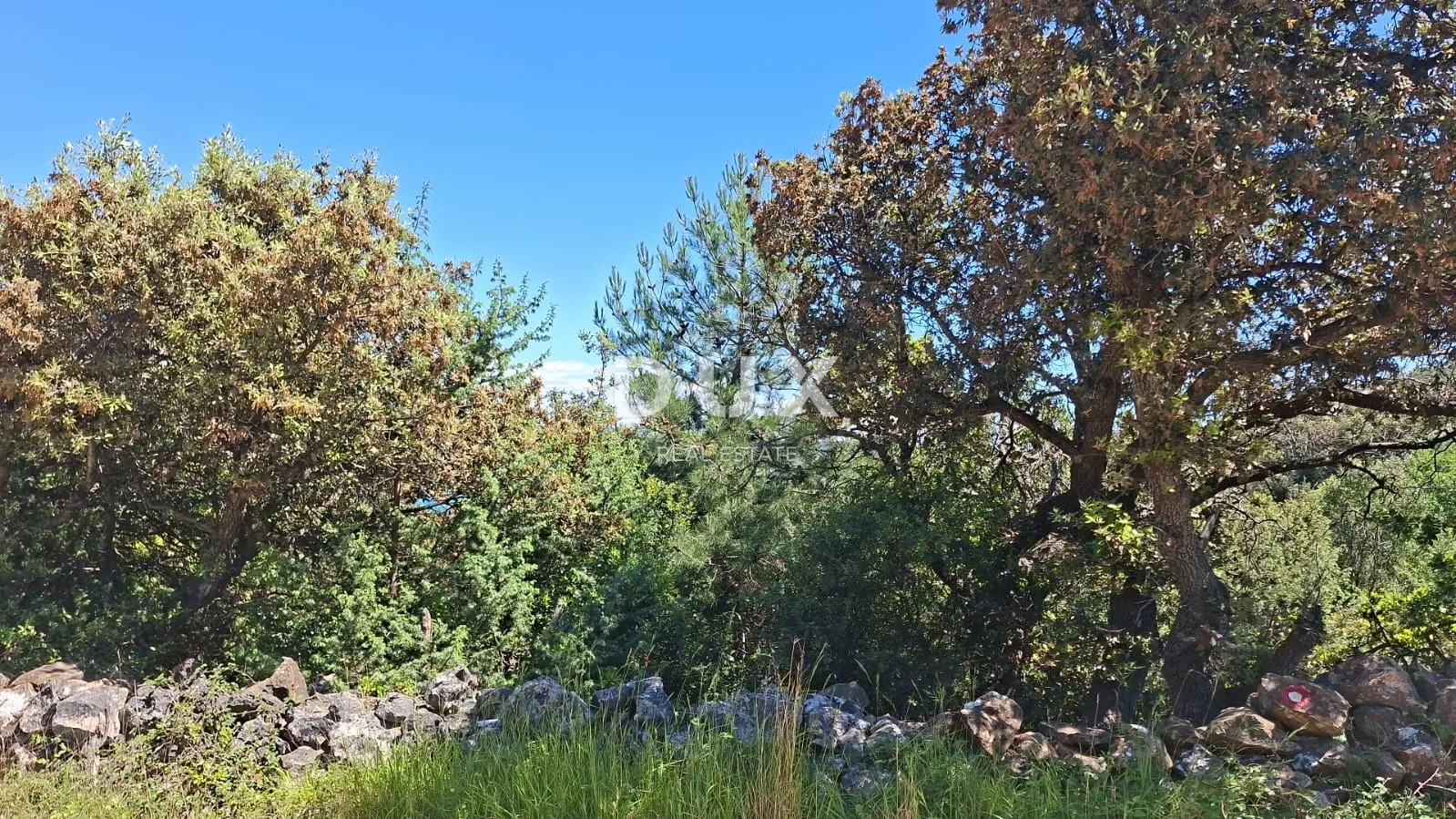 mali lošinj - vikend zemljište - 300 m od mora!! - slika 7