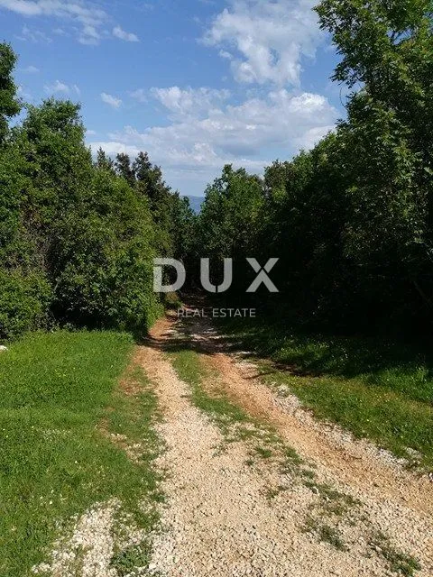 istra, duga luka- ruševina udaljena 300m od mora - slika 4