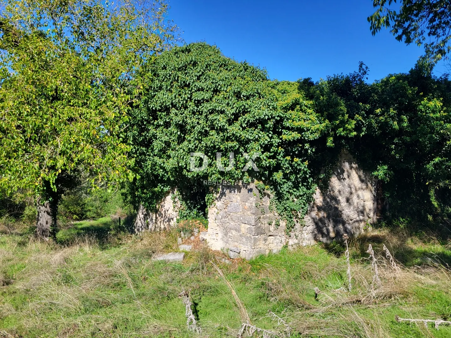 lupoglav, boljunsko polje, kamene kuće, 166 m2 - slika 9