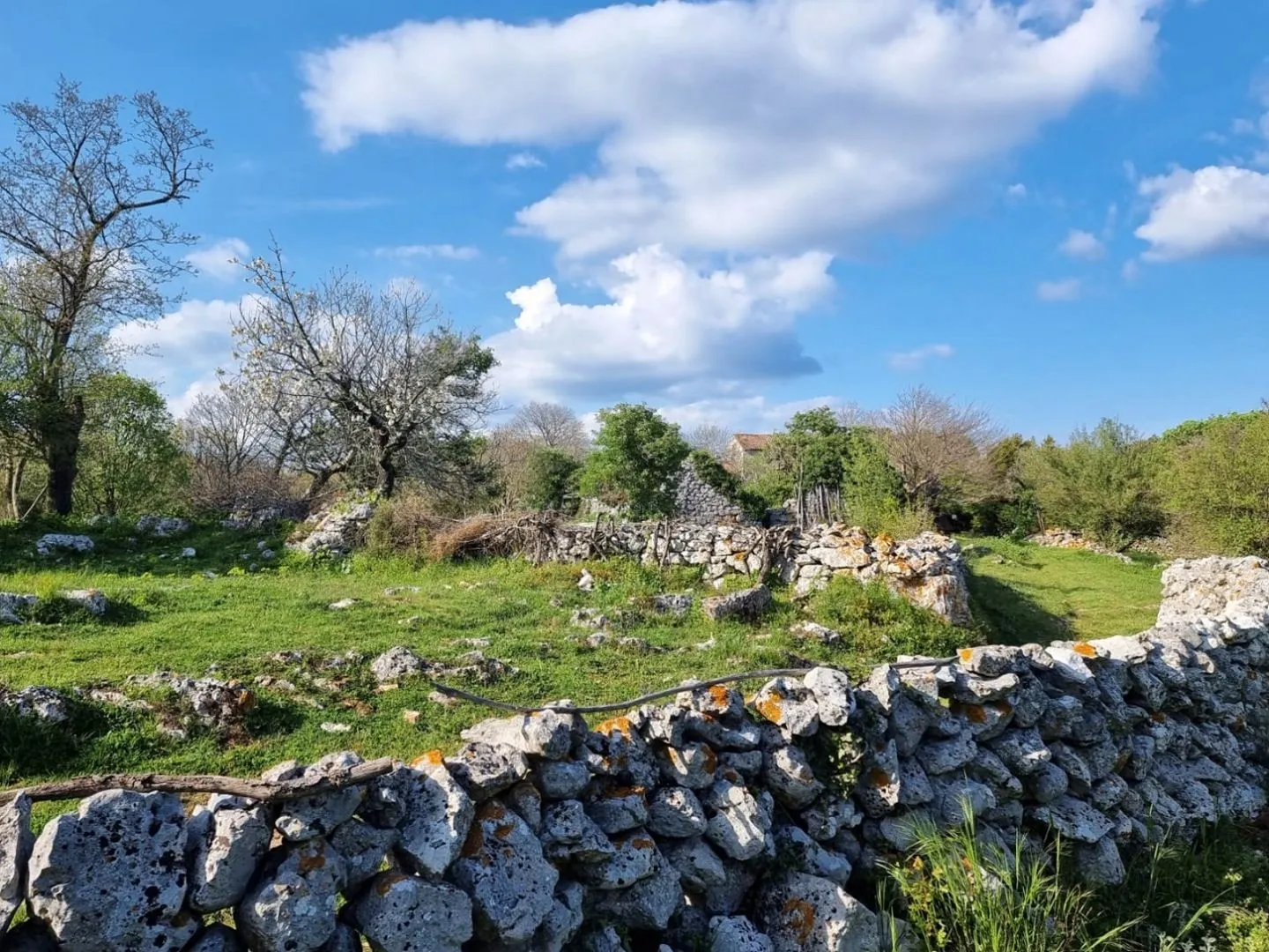 istra, rabac - prostrano imanje na očaravajućoj lokaciji - slika 18