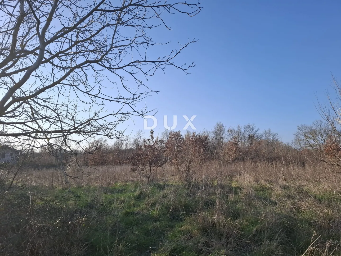 ISTRA, KANFANAR - Veliko poljoprivredno zemljište - Dubravci, Kanfanar