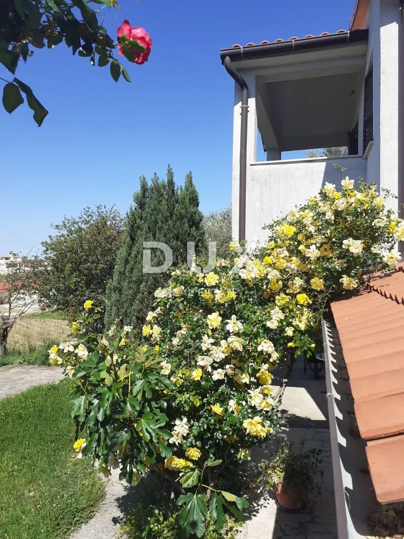 istra, vižinada - apartmanska kuća s 5 apartmana, panoramski pogled - slika 4