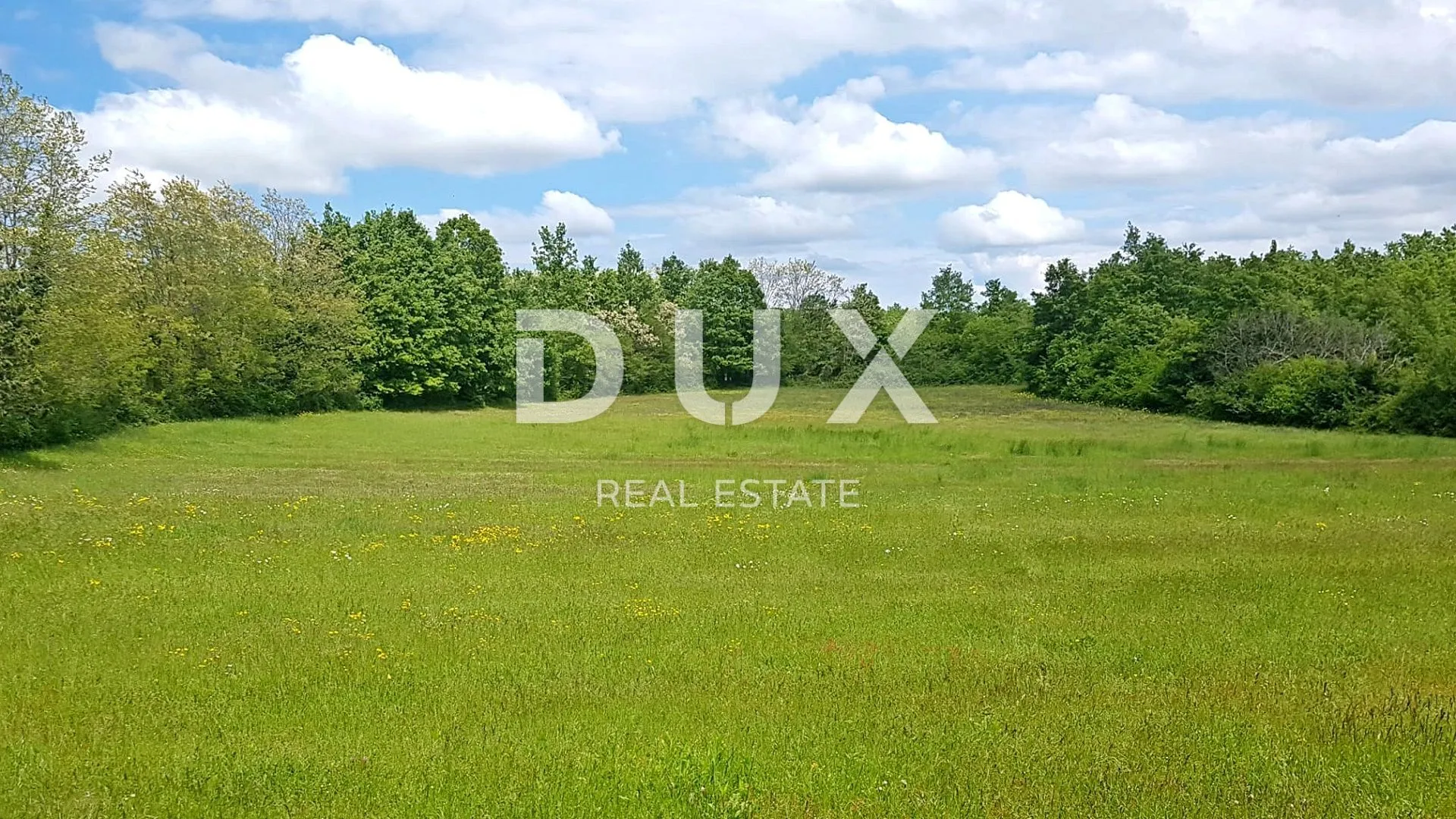 istra, barban, četverosobne kuće, 370m2 - slika 82