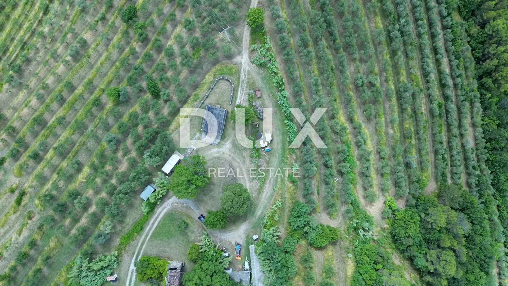 istra, motovun, imanje, 170.416 m2 - slika 16
