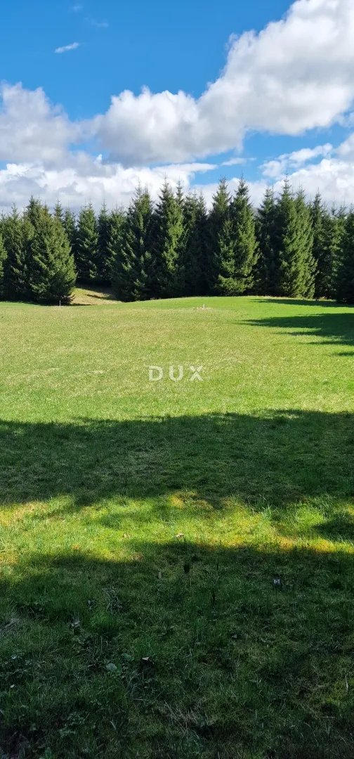 delnice, ravna gora - zemljišta ukupne površine 13400 m2 - slika 8