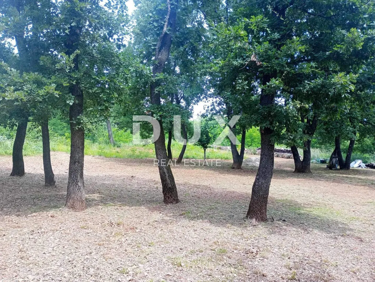 ISTRA, MARČANA - Dva poljoprivredna zemljišta pravilnih gabarita kod Pule sa vodom i strujom! - Divšići, Marčana