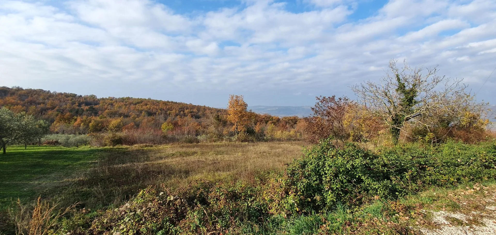 istra, vižinada - prostrano građevinsko zemljište na osami s panoramskim pogledom - slika 39
